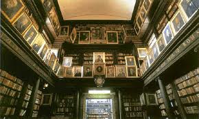 biblioteca Palermo interno 1d