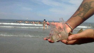 vetro-sulla-spiaggia1
